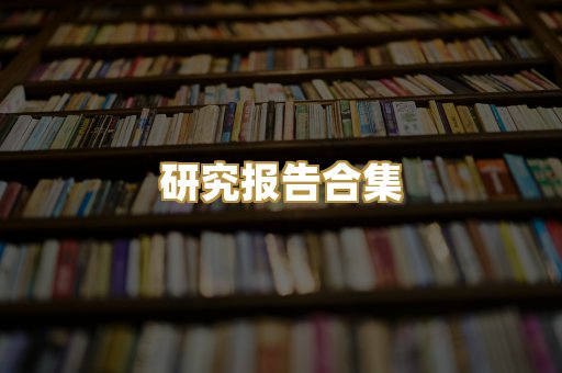 研究报告合集